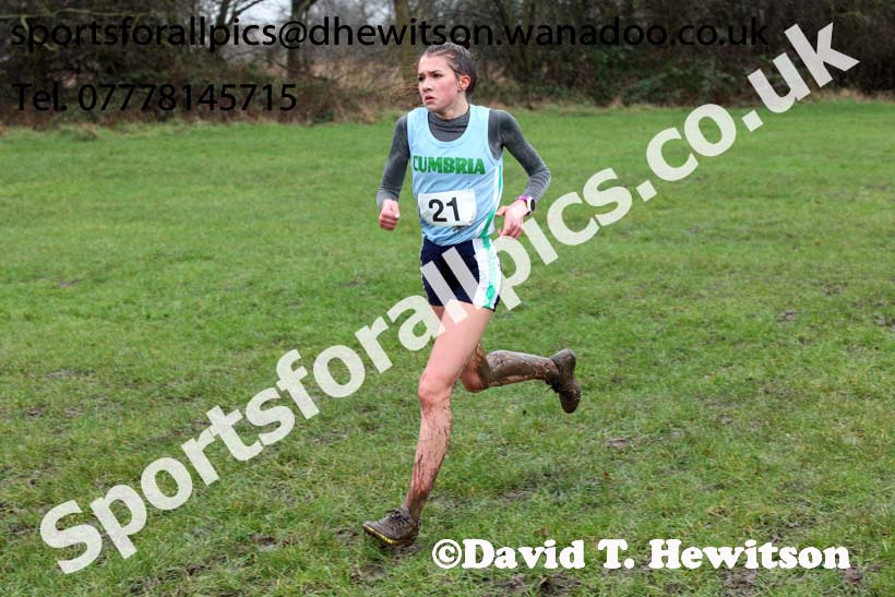 Junior girls Northern Inter Counties Schools Cross Country, Stockton. Photo: David T. Hewitson/Sports for All Pics